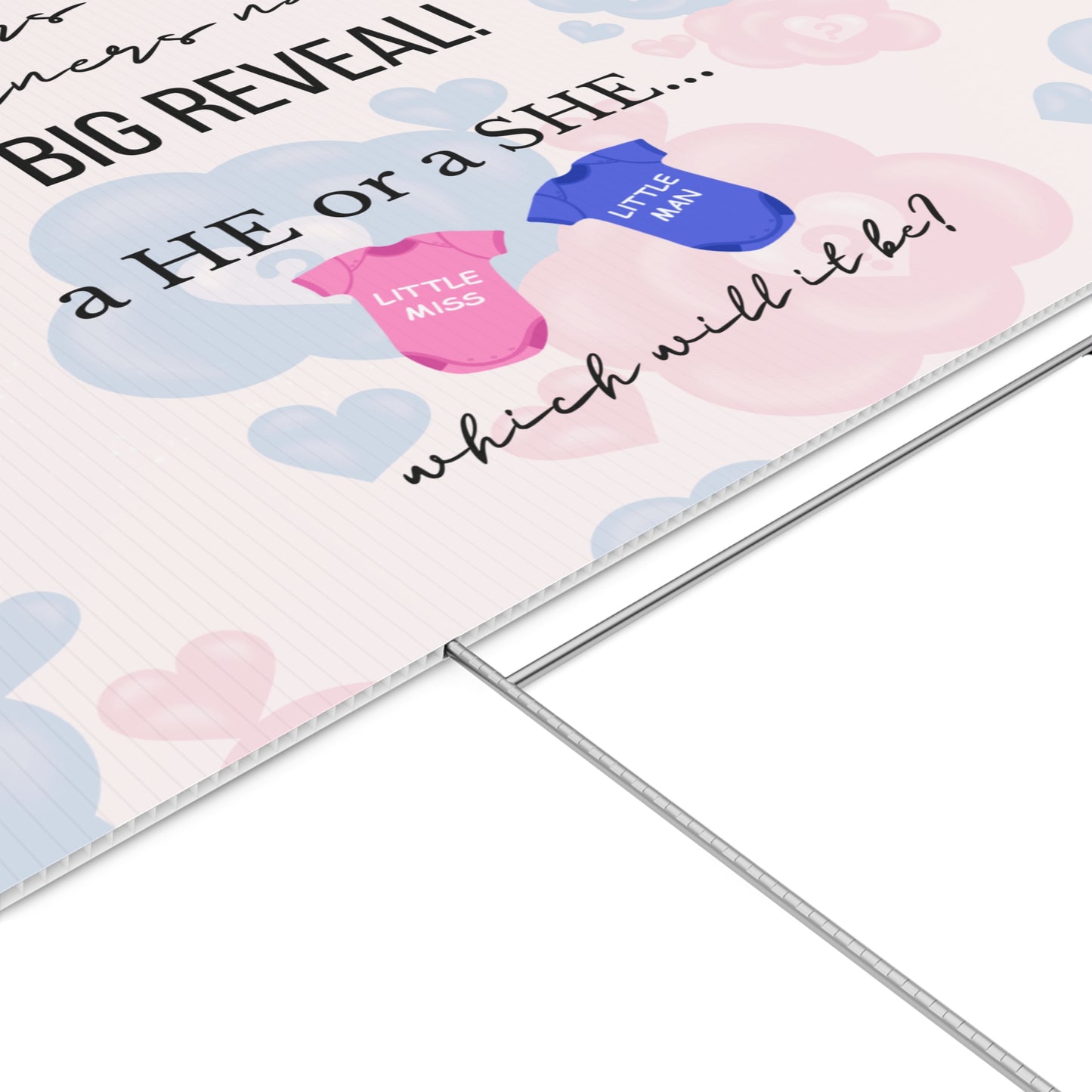 The Big Reveal Lawn Sign